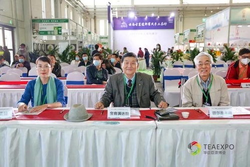 茗星之戰,誰將c位出道 茗星茶藝師內蒙古分賽區決賽結果揭曉