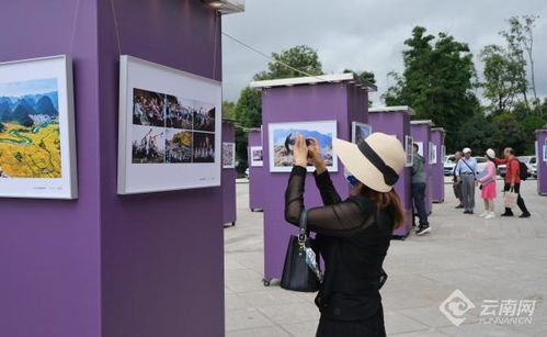 精品薈萃 云南美術、書法、攝影三展同綻昆明，美術家協會引領藝術新風尚